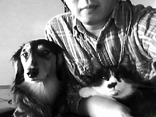 200504_asa.jpg