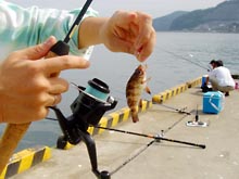 200509_fishing.jpg