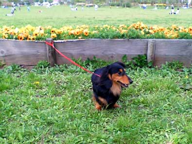 20060505_sora.jpg