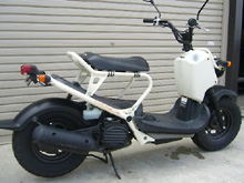 200608_zoomer.jpg